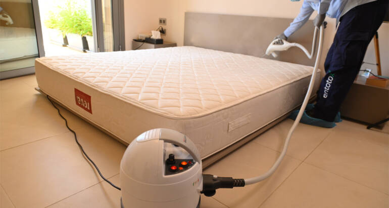 Bed bugs treatment