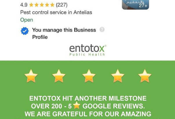 Entotox has hit another milestone. Over 200 – 5 ⭐ google reviews