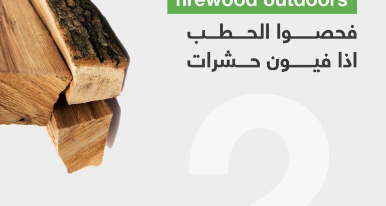 Inspect Your Firewood Outdoors