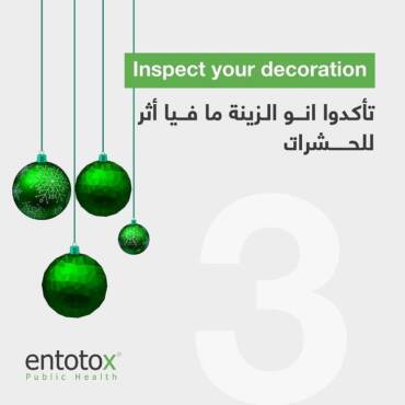inspect_your_decoration.jpg