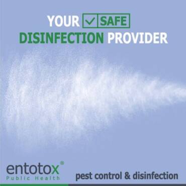 your-safe-disinfection-provider.jpg