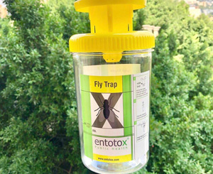 Reusable outdoor Fly Trap-image