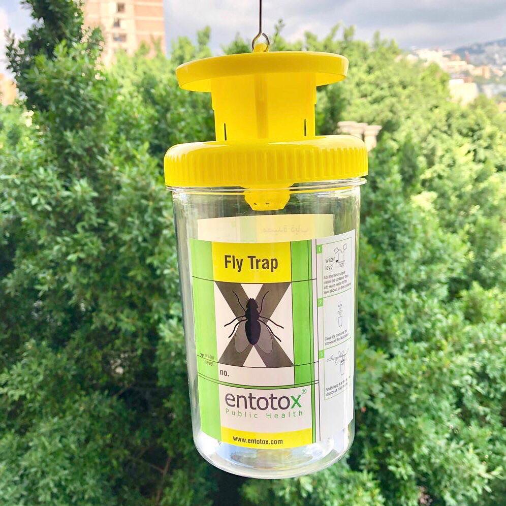 Reusable outdoor Fly Trap - Entotox Public Health