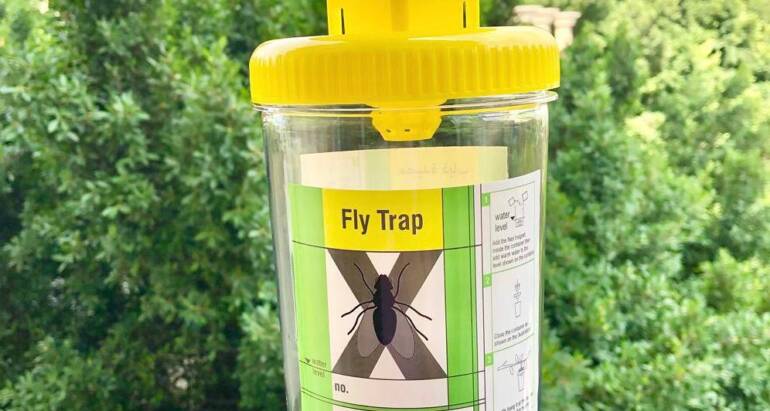 Reusable outdoor Fly Trap