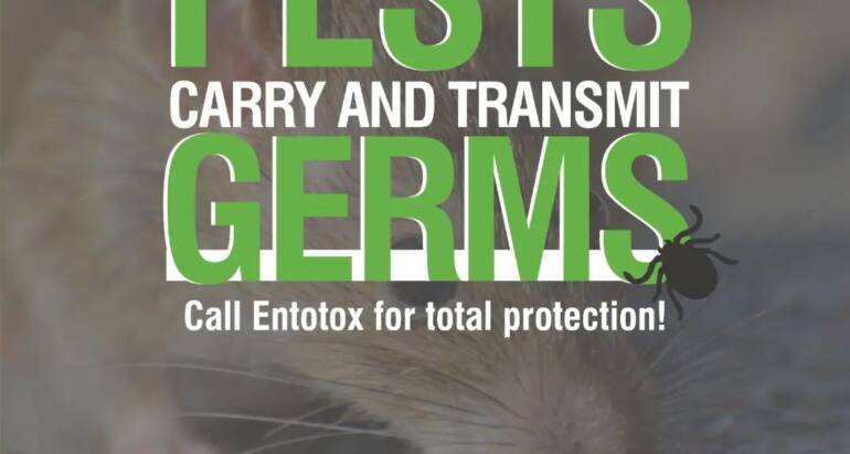 Pests carry and transmit germs