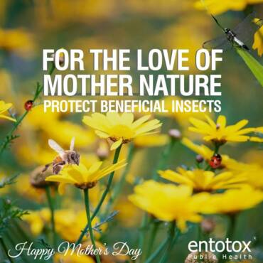 for-the-love-of-mother-nature.jpg