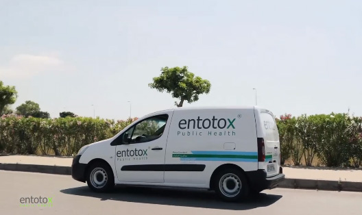 Don’t hesitate to call Entotox for total protection!