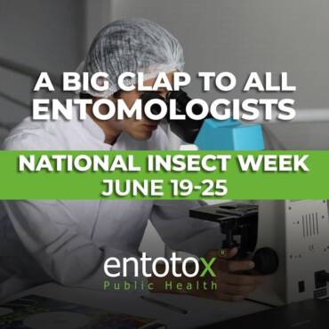 national-insect-week.jpg