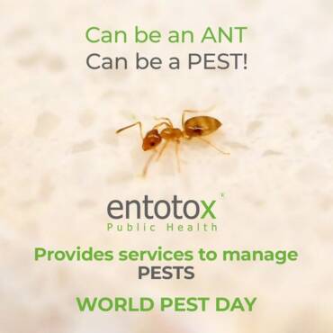 services-manage-pests.jpg