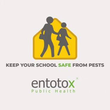 keep-your-school-safe-from-pests.jpg