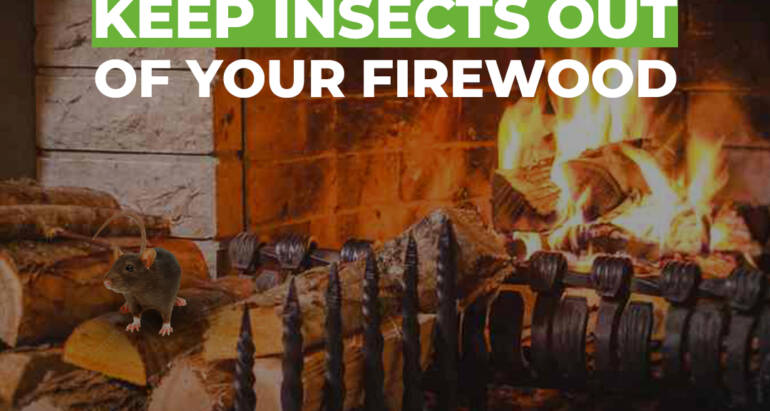 Stay warm and keep insects out of your firewood