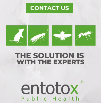 اتّصِل بإنتوتوكس الخبراء بمكافحة الحشرات والتّعقيم