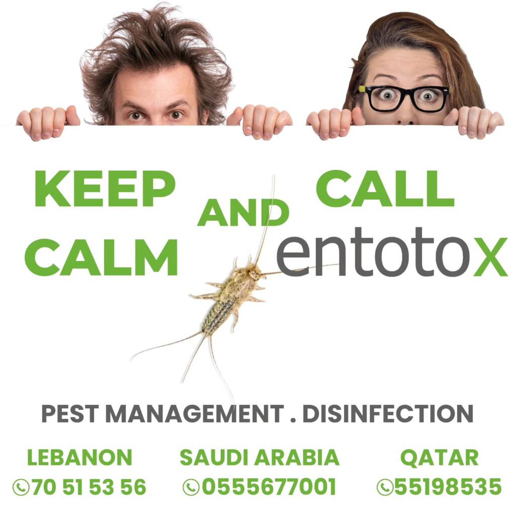 pest managment disinfection