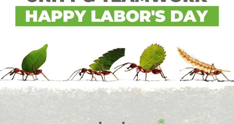 Happy labor’s day