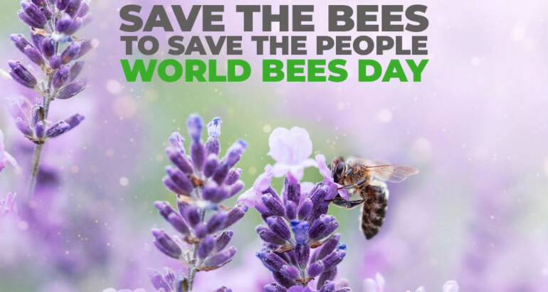 World Bees Day