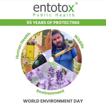 world-environment-day.jpg