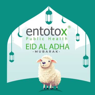 eid-eladha.jpg