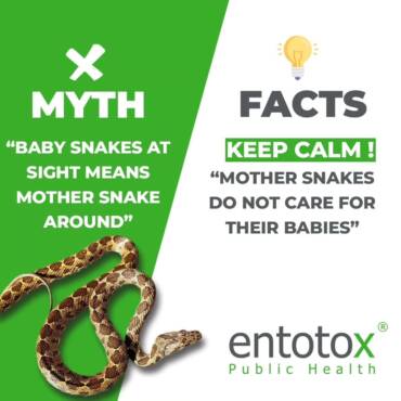 facts-about-snakes.jpg