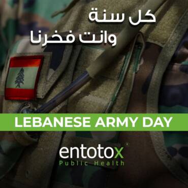 lebanese-army-day.jpg