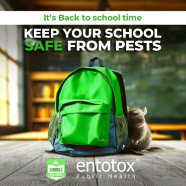 back-to-school-pest-free.jpg