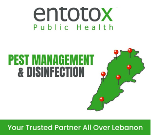 Pest management & Disinfection – Lebanon