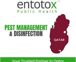 Pest management & Disinfection – Qatar