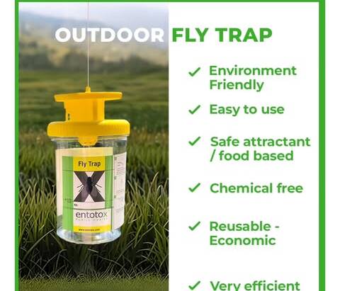 Outdoor fly trap