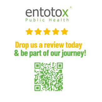 Drop us a review today