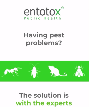 Pests invading your space?