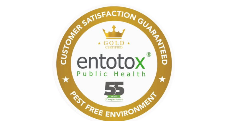 Reputation is success.