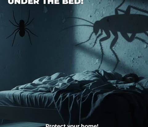 When the real Halloween monsters show up