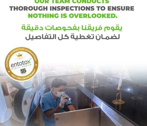 Effective pest control