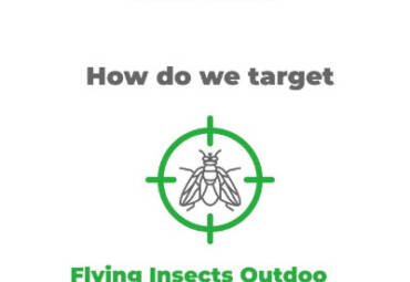 Are flying insects affecting your outdoor space?