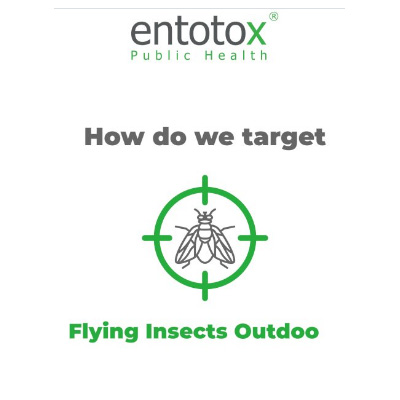 Are flying insects affecting your outdoor space?